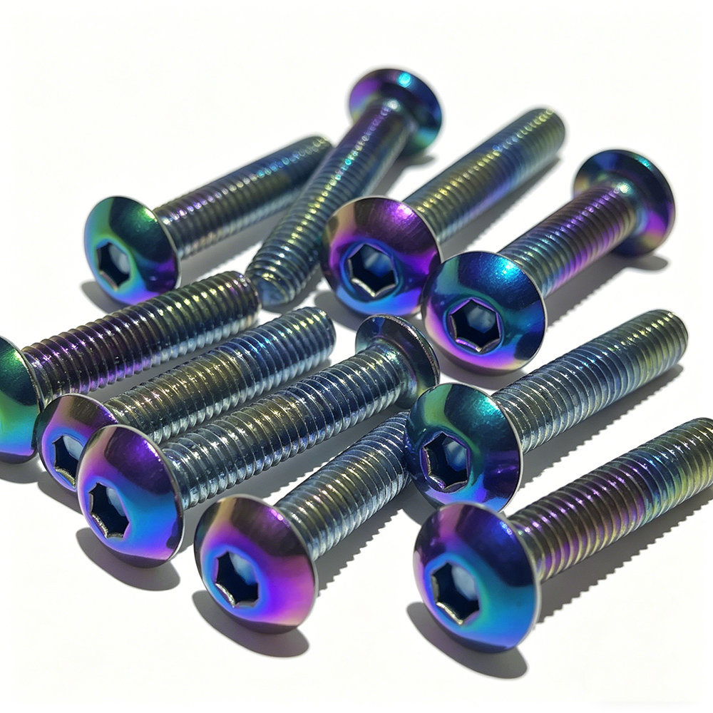 5pcs 201 Stainless Steel Round - Furniture Joinery Hardware ulasan dan harga